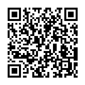 Link zu deiner Spendenaktion QRCode - Fundraising
