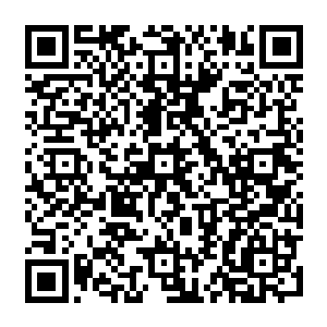 Link zu deiner Spendenaktion QRCode - Fundraising
