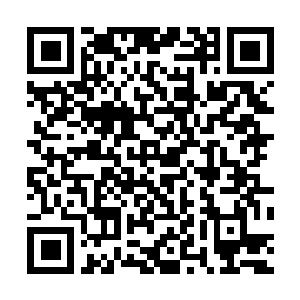 Link zu deiner Spendenaktion QRCode - Fundraising