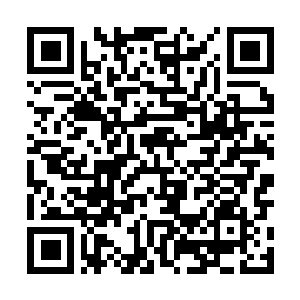 Link zu deiner Spendenaktion QRCode - Fundraising