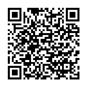 Link zu deiner Spendenaktion QRCode - Fundraising