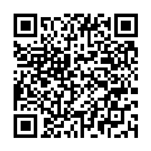 Link zu deiner Spendenaktion QRCode - Fundraising