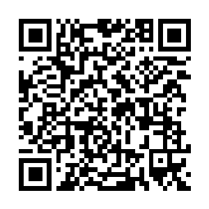 Link zu deiner Spendenaktion QRCode - Fundraising