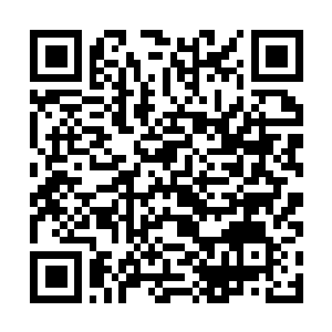 Link zu deiner Spendenaktion QRCode - Fundraising