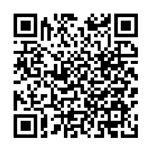 Link zu deiner Spendenaktion QRCode - Fundraising