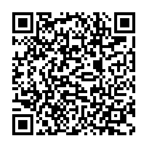Link zu deiner Spendenaktion QRCode - Fundraising