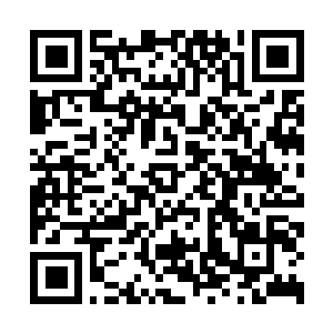 Link zu deiner Spendenaktion QRCode - Fundraising