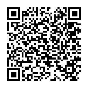 Link zu deiner Spendenaktion QRCode - Fundraising