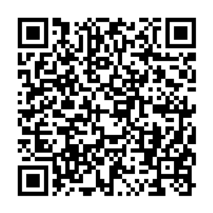 Link zu deiner Spendenaktion QRCode - Fundraising