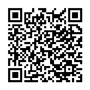 Link zu deiner Spendenaktion QRCode - Fundraising
