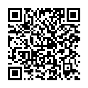 Link zu deiner Spendenaktion QRCode - Fundraising