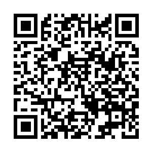 Link zu deiner Spendenaktion QRCode - Fundraising