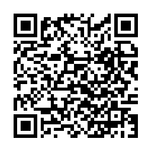 Link zu deiner Spendenaktion QRCode - Fundraising