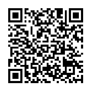 Link zu deiner Spendenaktion QRCode - Fundraising