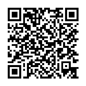 Link zu deiner Spendenaktion QRCode - Fundraising