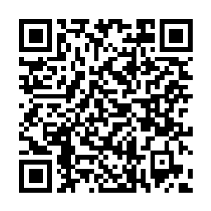 Link zu deiner Spendenaktion QRCode - Fundraising