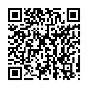Link zu deiner Spendenaktion QRCode - Fundraising