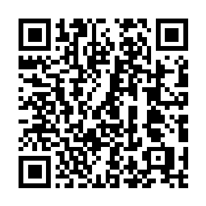 Link zu deiner Spendenaktion QRCode - Fundraising