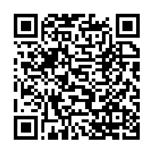 Link zu deiner Spendenaktion QRCode - Fundraising