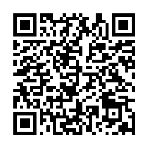 Link zu deiner Spendenaktion QRCode - Fundraising