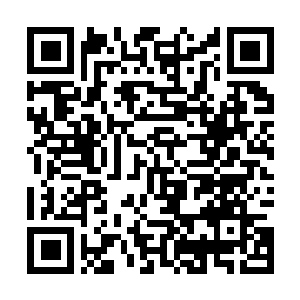 Link zu deiner Spendenaktion QRCode - Fundraising