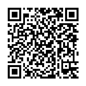 Link zu deiner Spendenaktion QRCode - Fundraising