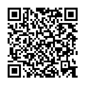 Link zu deiner Spendenaktion QRCode - Fundraising