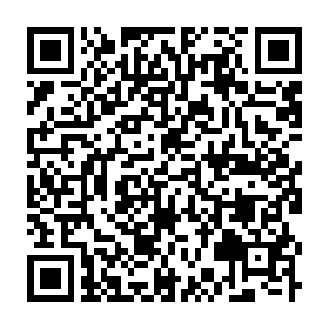 Link zu deiner Spendenaktion QRCode - Fundraising