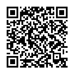 Link zu deiner Spendenaktion QRCode - Fundraising