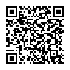 Link zu deiner Spendenaktion QRCode - Fundraising