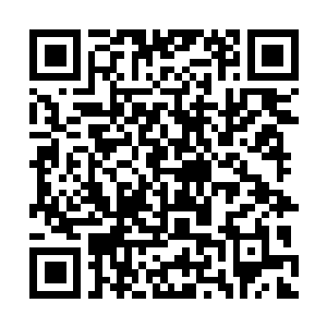 Link zu deiner Spendenaktion QRCode - Fundraising