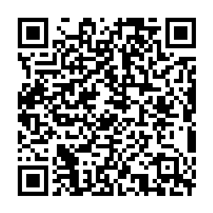 Link zu deiner Spendenaktion QRCode - Fundraising
