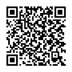 Link zu deiner Spendenaktion QRCode - Fundraising