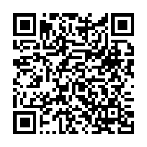 Link zu deiner Spendenaktion QRCode - Fundraising