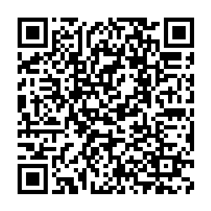 Link zu deiner Spendenaktion QRCode - Fundraising