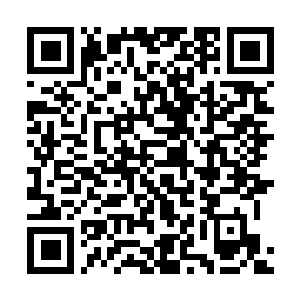 Link zu deiner Spendenaktion QRCode - Fundraising