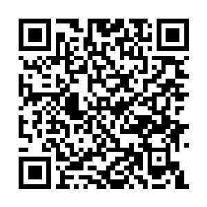 Link zu deiner Spendenaktion QRCode - Fundraising