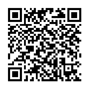 Link zu deiner Spendenaktion QRCode - Fundraising