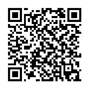 Link zu deiner Spendenaktion QRCode - Fundraising