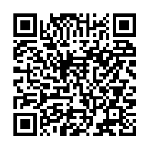 Link zu deiner Spendenaktion QRCode - Fundraising