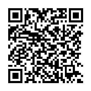 Link zu deiner Spendenaktion QRCode - Fundraising