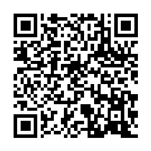 Link zu deiner Spendenaktion QRCode - Fundraising