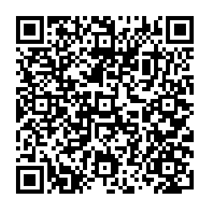 Link zu deiner Spendenaktion QRCode - Fundraising