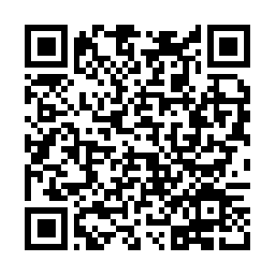 Link zu deiner Spendenaktion QRCode - Fundraising