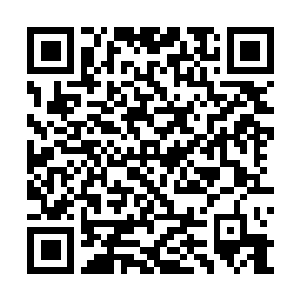 Link zu deiner Spendenaktion QRCode - Fundraising