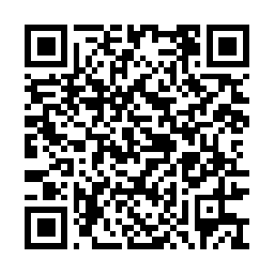 Link zu deiner Spendenaktion QRCode - Fundraising