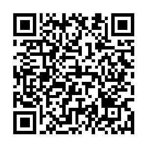 Link zu deiner Spendenaktion QRCode - Fundraising