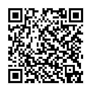 Link zu deiner Spendenaktion QRCode - Fundraising