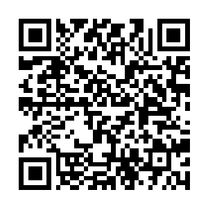 Link zu deiner Spendenaktion QRCode - Fundraising