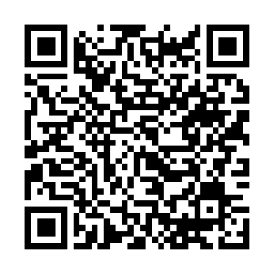 Link zu deiner Spendenaktion QRCode - Fundraising